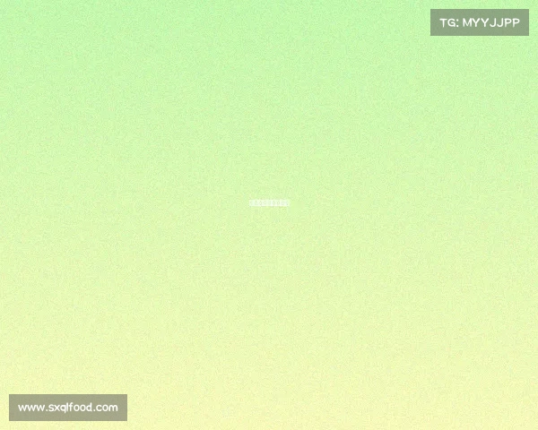 巅峰对决:荣耀战场